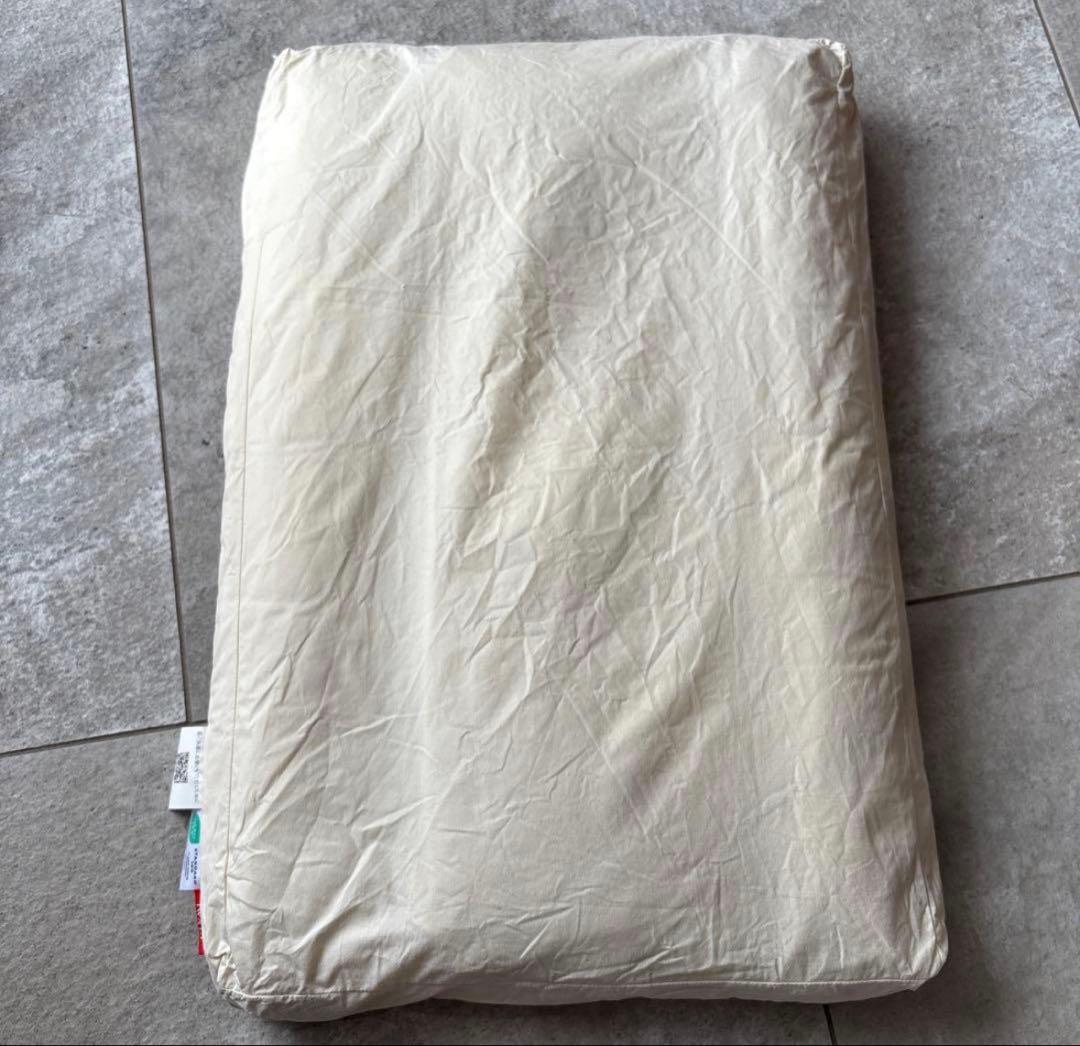 IWATA キャメル　枕　2.5cm ピロー