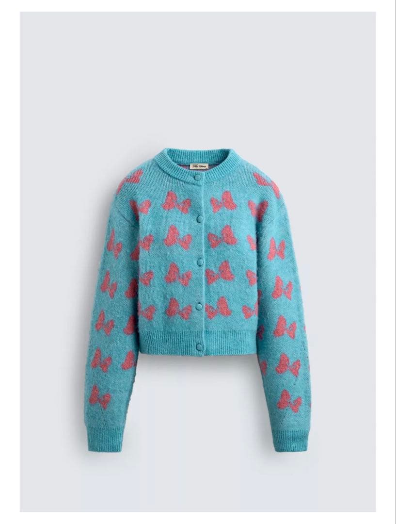 ZARA ミニー　コラボ　ニット　ピンク　水色　ファンダーランド