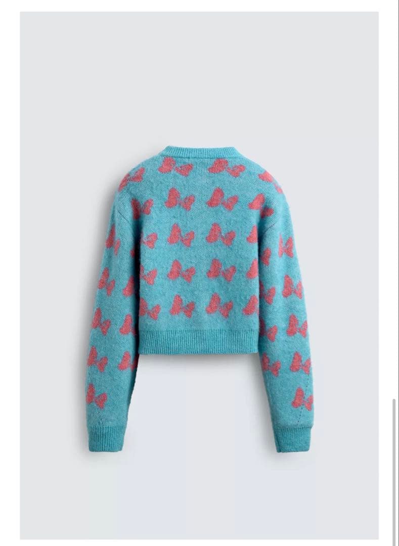 ZARA ミニー　コラボ　ニット　ピンク　水色　ファンダーランド