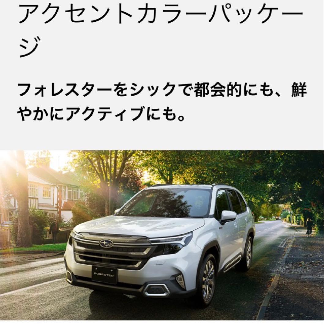 フォレスター アクセントカラーパッケージ シルバー未開封　P0017SL911