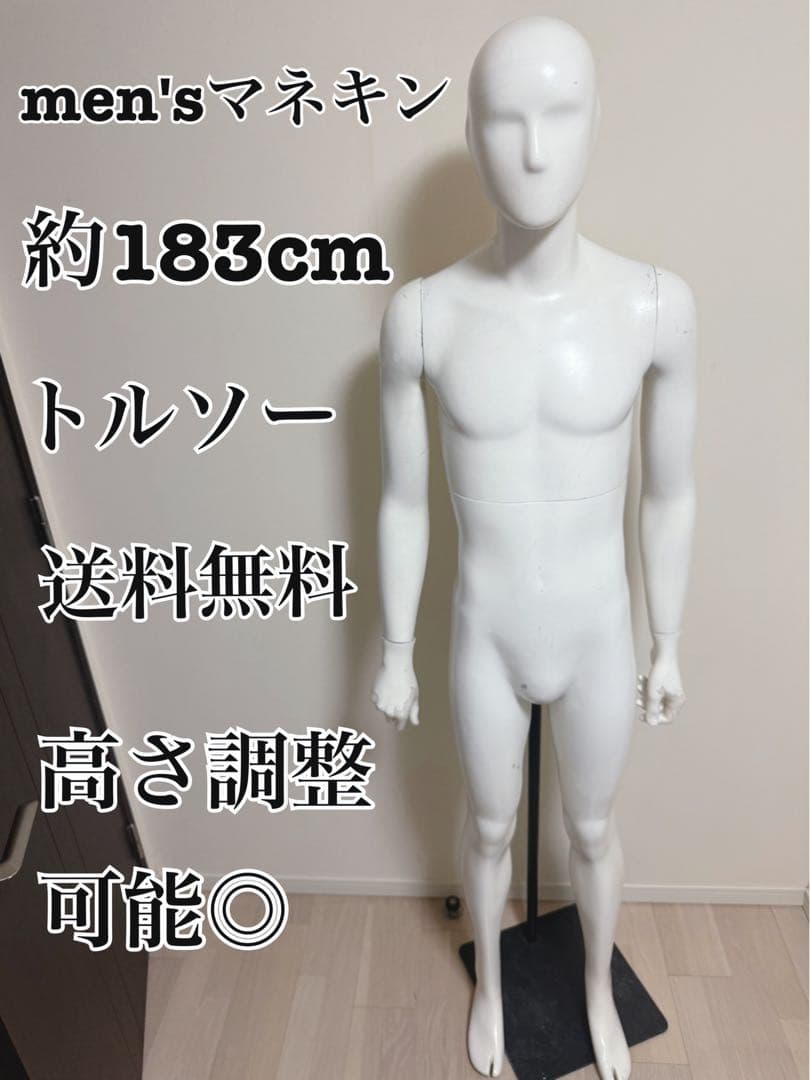 パールイデア　男性　全身トルソー　マネキン　白　高さ調整可能　ディスプレイ