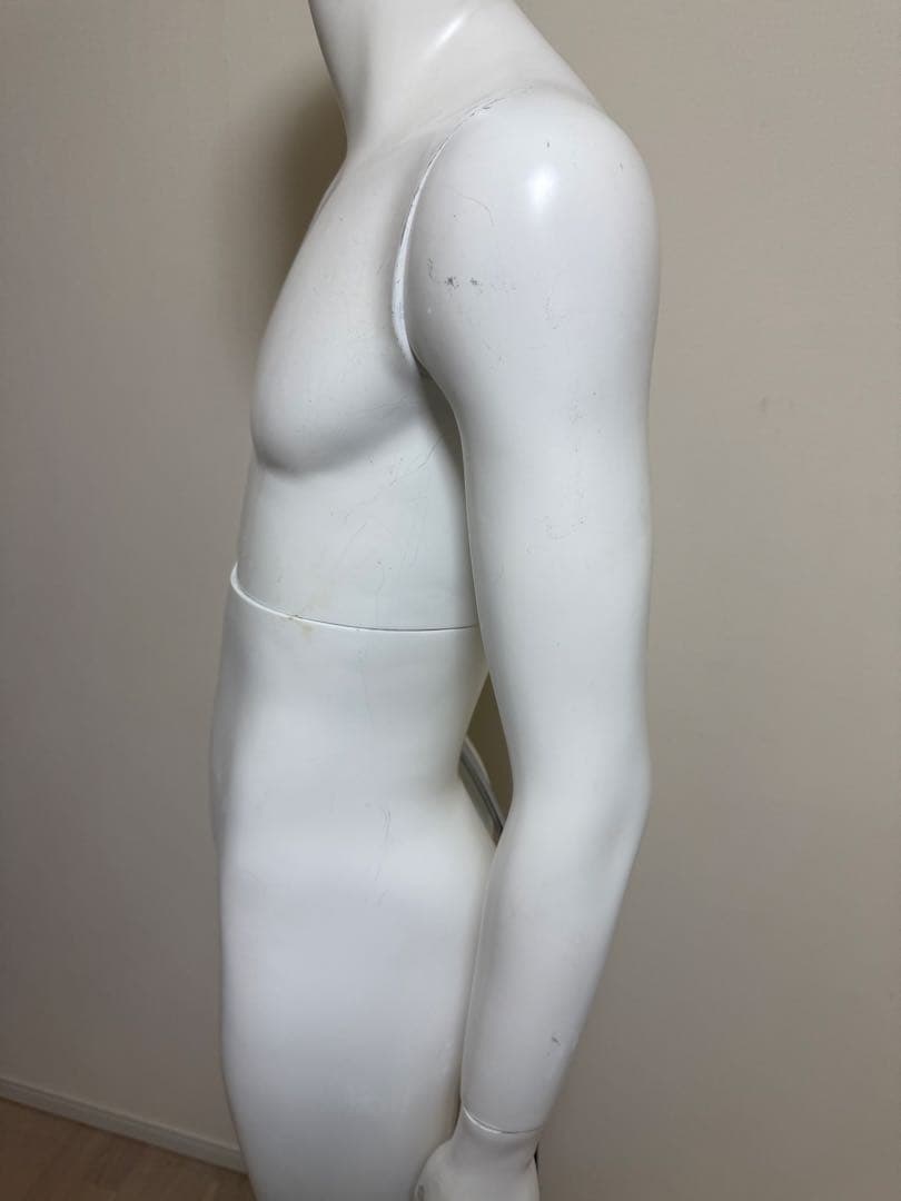 パールイデア　男性　全身トルソー　マネキン　白　高さ調整可能　ディスプレイ