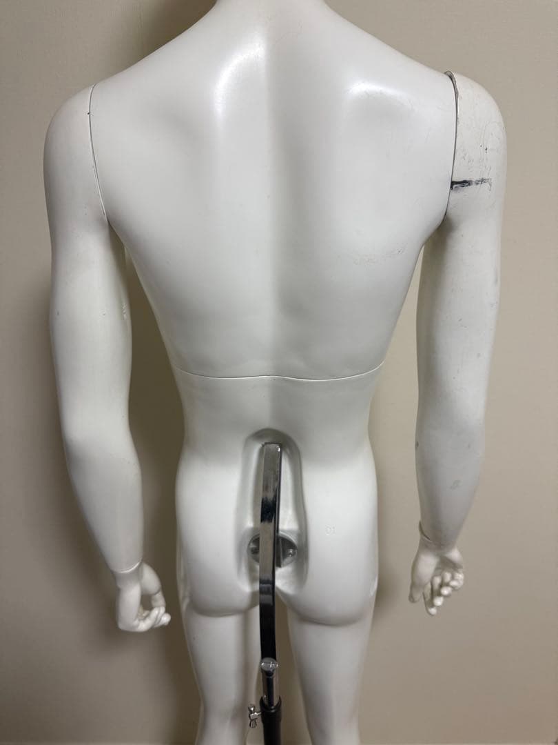 パールイデア　男性　全身トルソー　マネキン　白　高さ調整可能　ディスプレイ