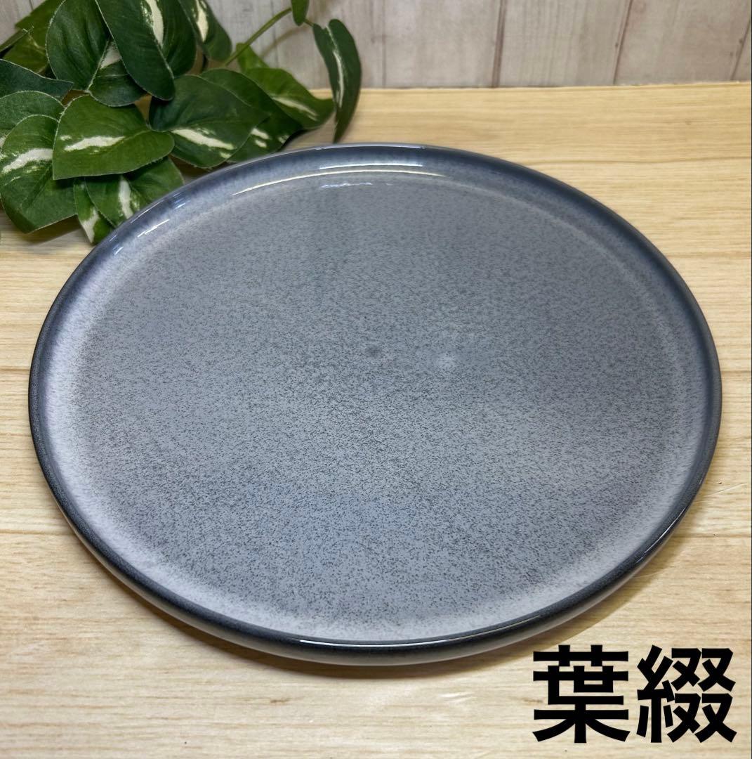 釉変わり23cm浅口切立皿(5枚)