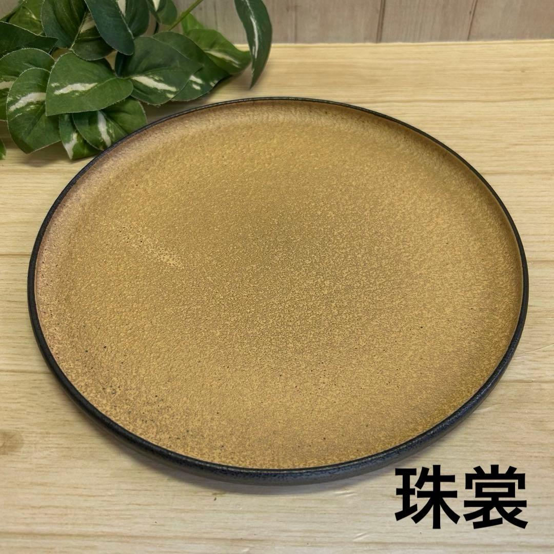 釉変わり23cm浅口切立皿(5枚)