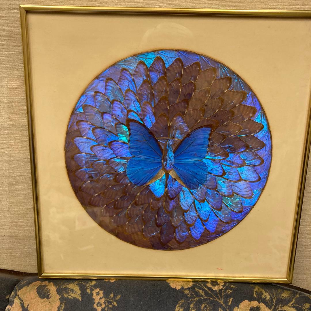 モルフォ蝶　貼り絵　アート