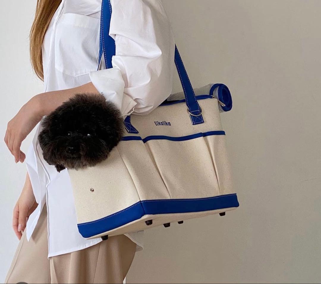 likalika 韓国　キャリーバッグ