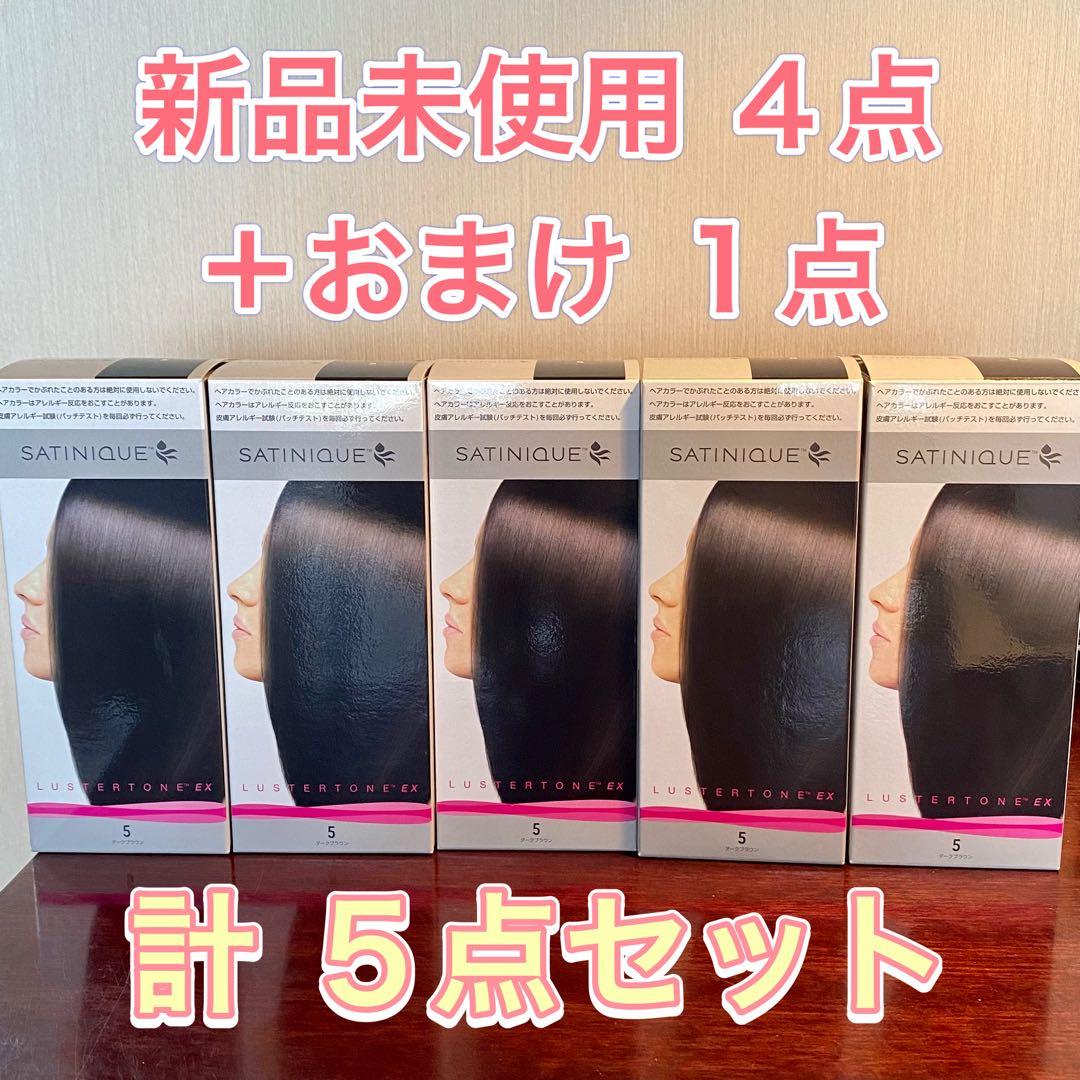 サテニーク ラスタートーンEX 5点セット ダークブラウン アムウェイ