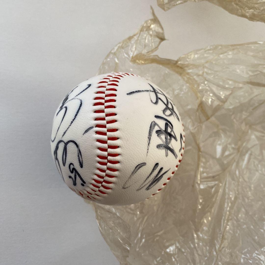 ドラゴンズ自筆サインボール　選手名はわかりませんが全部で１４サインです、