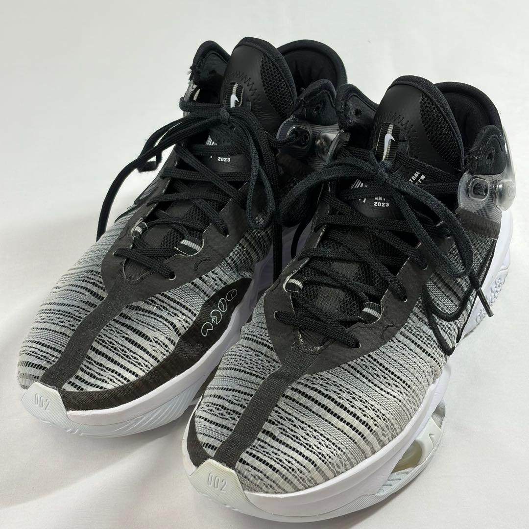 ナイキ エア ズーム G.T. ジャンプ バスケットボールシューズ メンズ