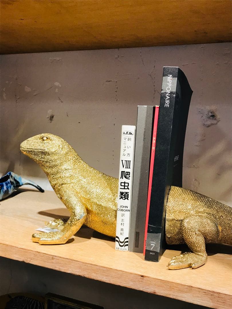 kare エレガントでユーモアのある爬虫類型ブックエンド