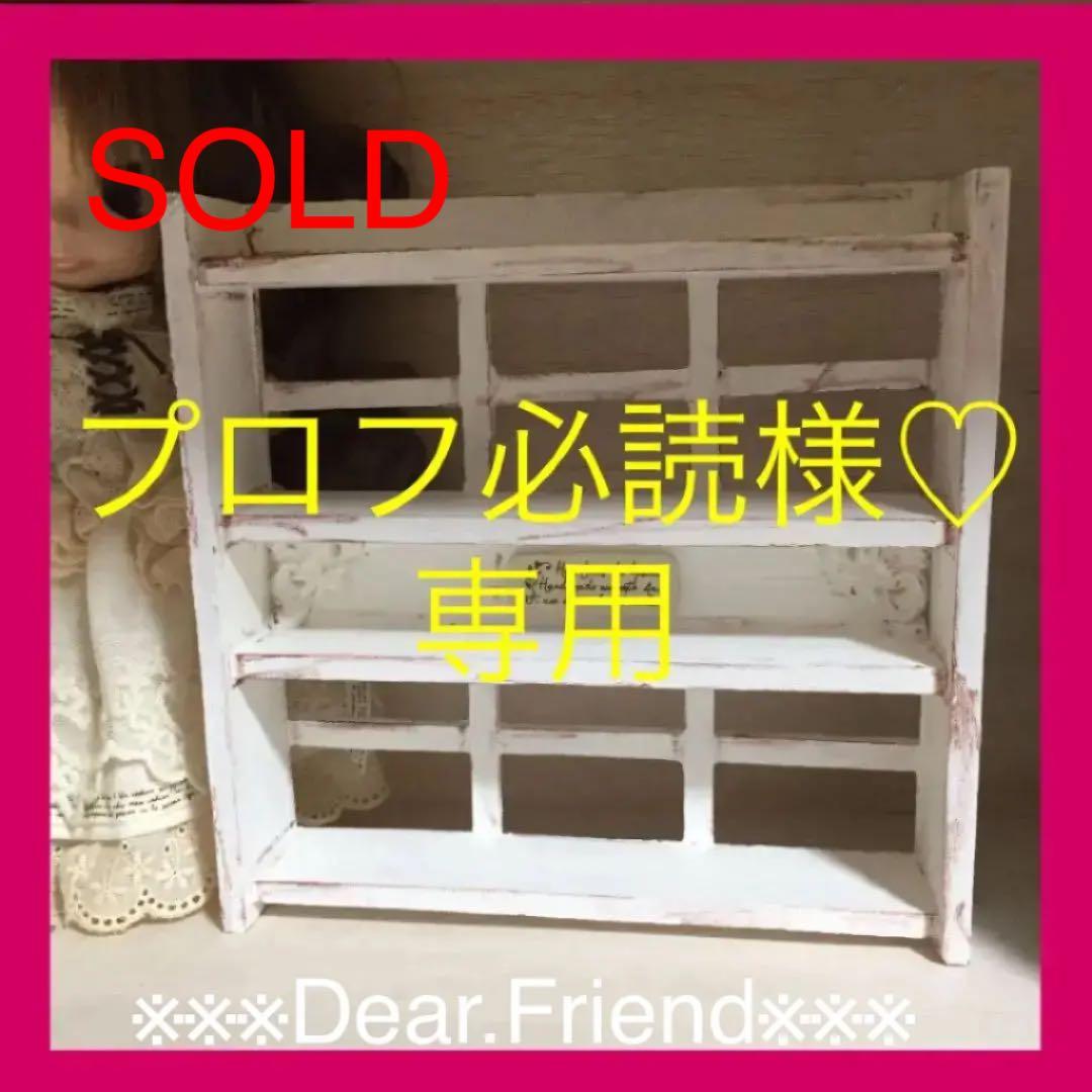 プロフ必読様❤️専用