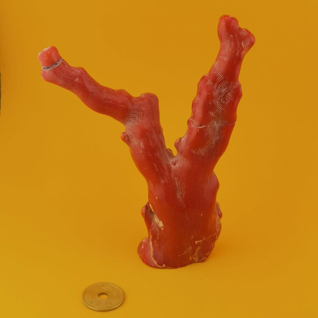 チベット山珊瑚置物(整理番号:BM100)