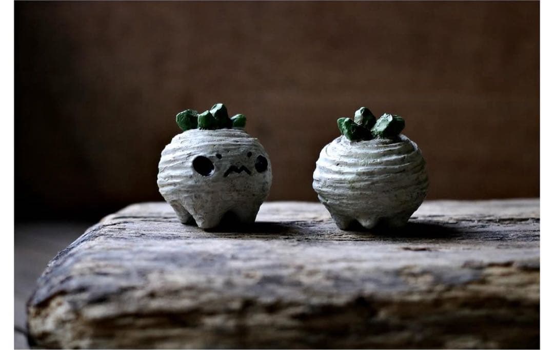 羅本製所 ROBIN miniart Euphorbia decidua