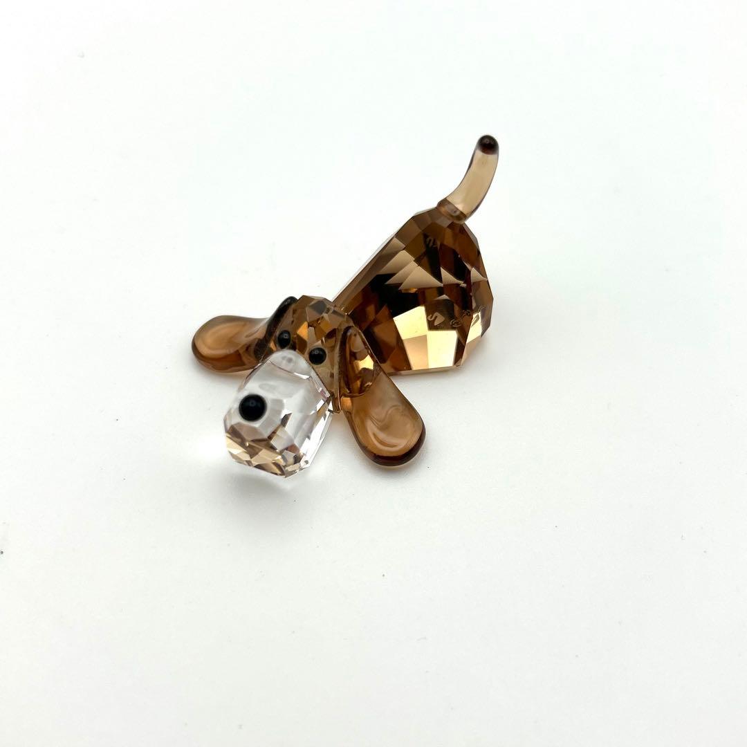 置物 SWAROVSKI The Gang of Dogs Pepino