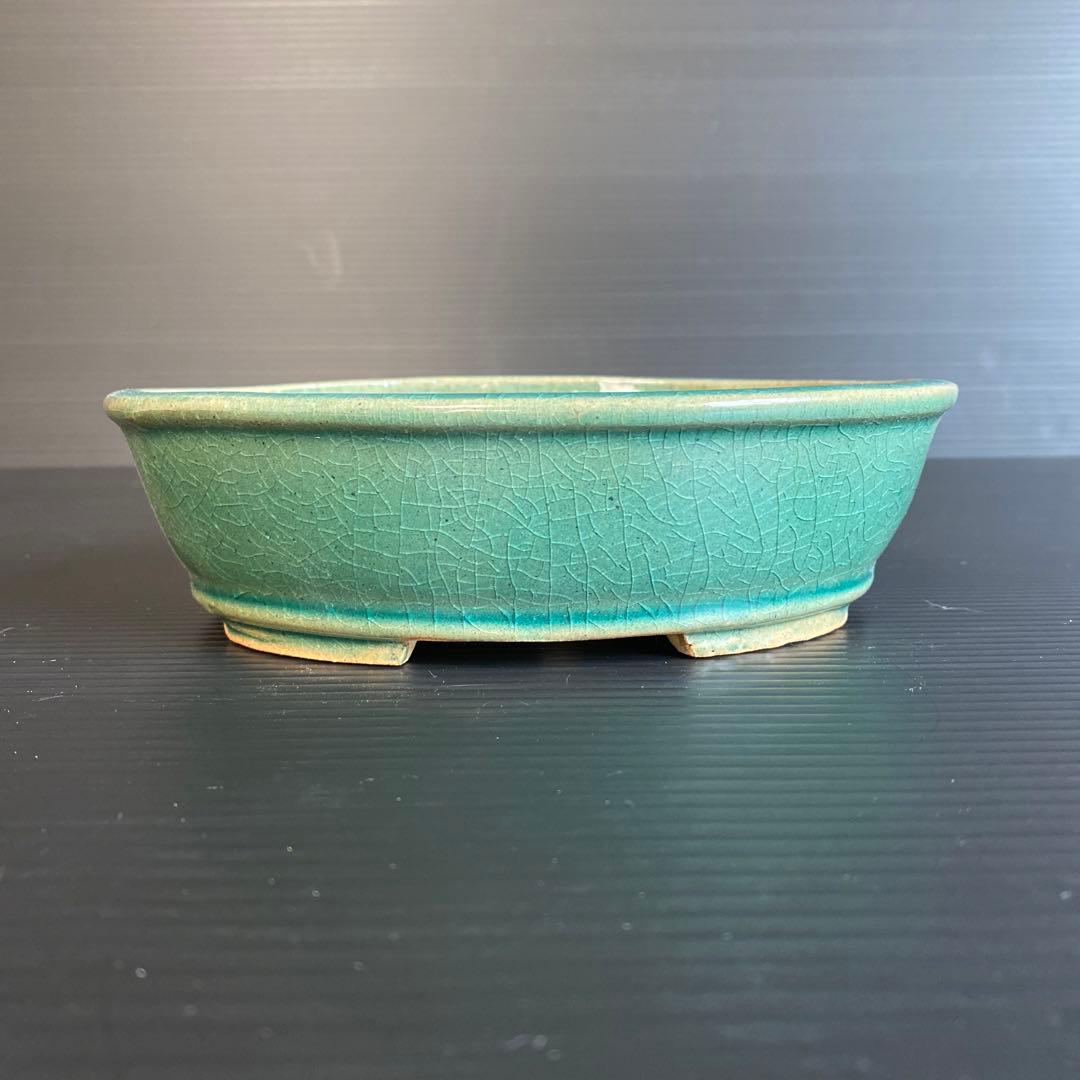 柴勝　緑釉楕円鉢　小品盆栽