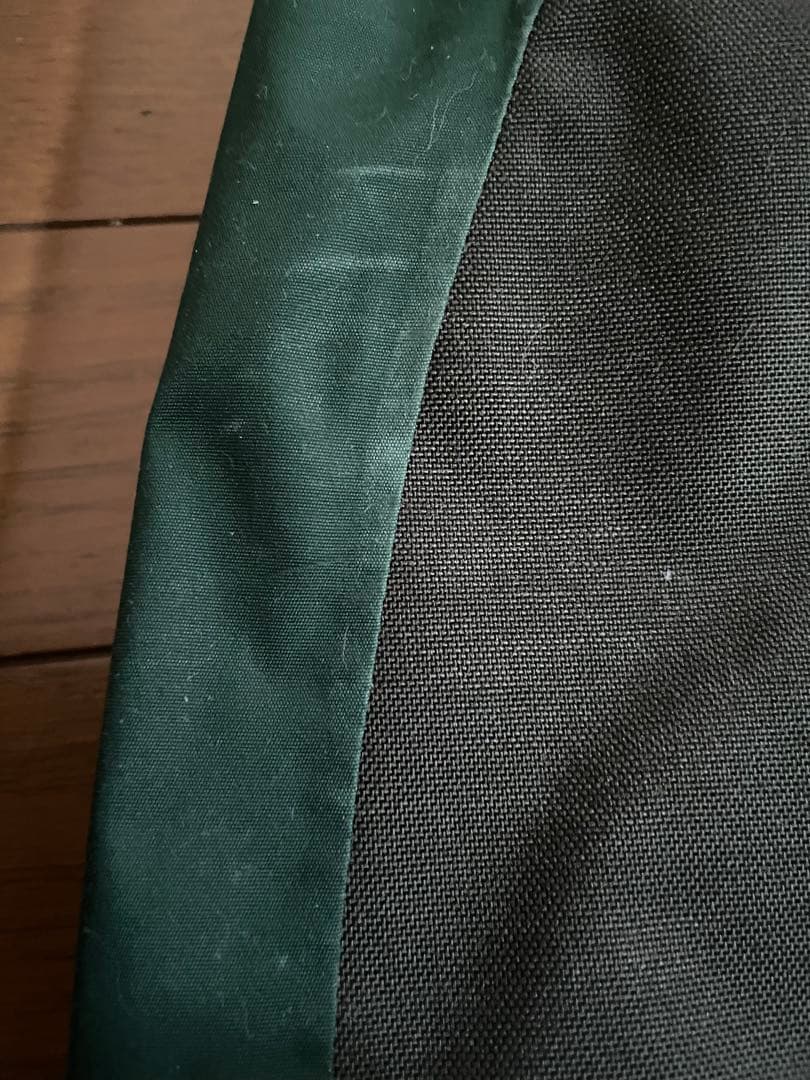 ゴールドウィン スキーパンツ メンズL