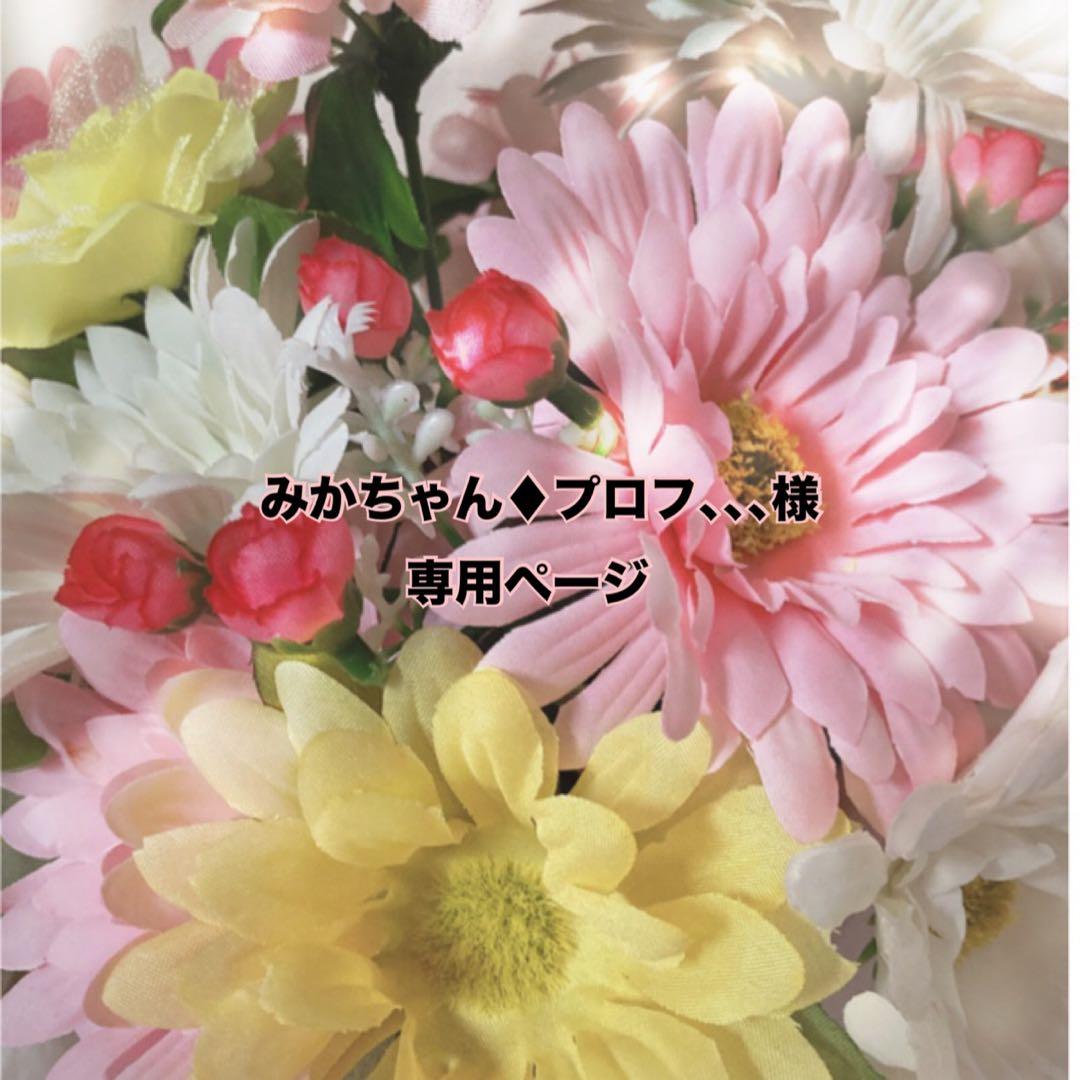 みかちゃん♦︎プロフ、、、ページ
