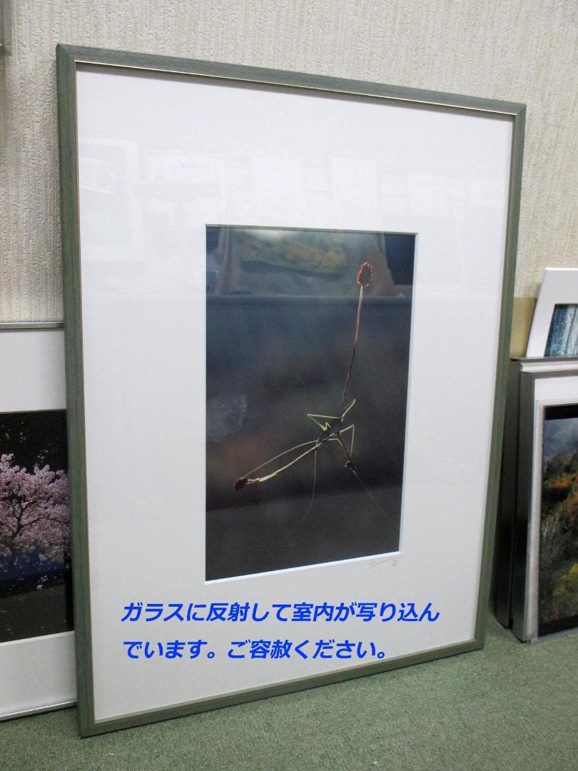 著名な写真家の珍しい写真と大全紙額縁（木製）