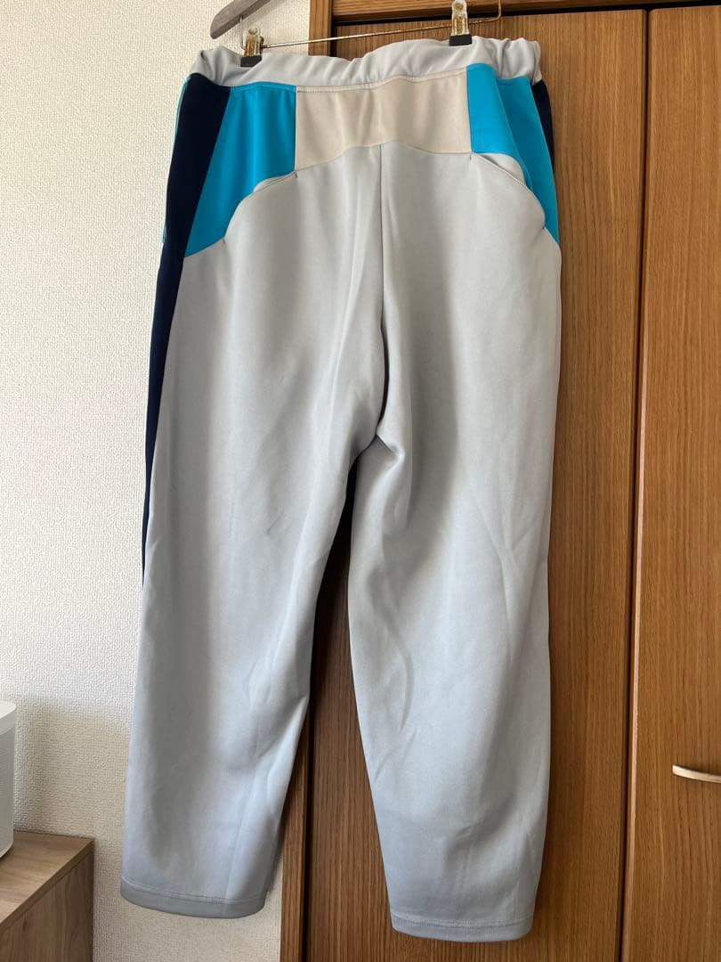パンツ DIGAWEL track pants