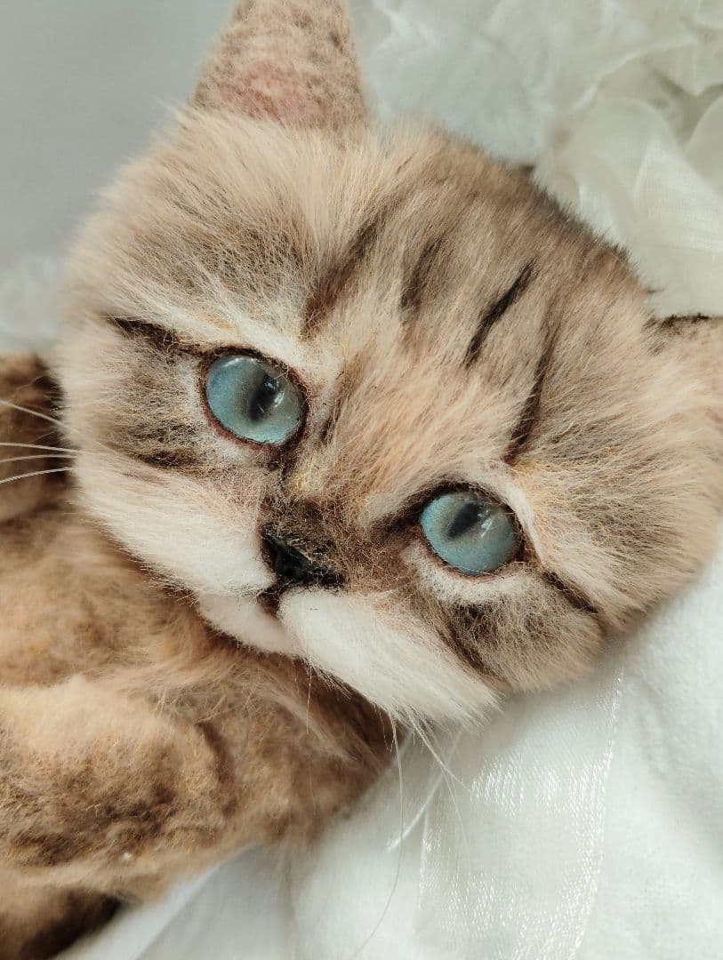 めるちゃん様❤オーダー❤お腹ぽっこり♡可愛い猫ちゃん♡アートドール♡ぬいぐるみ♡