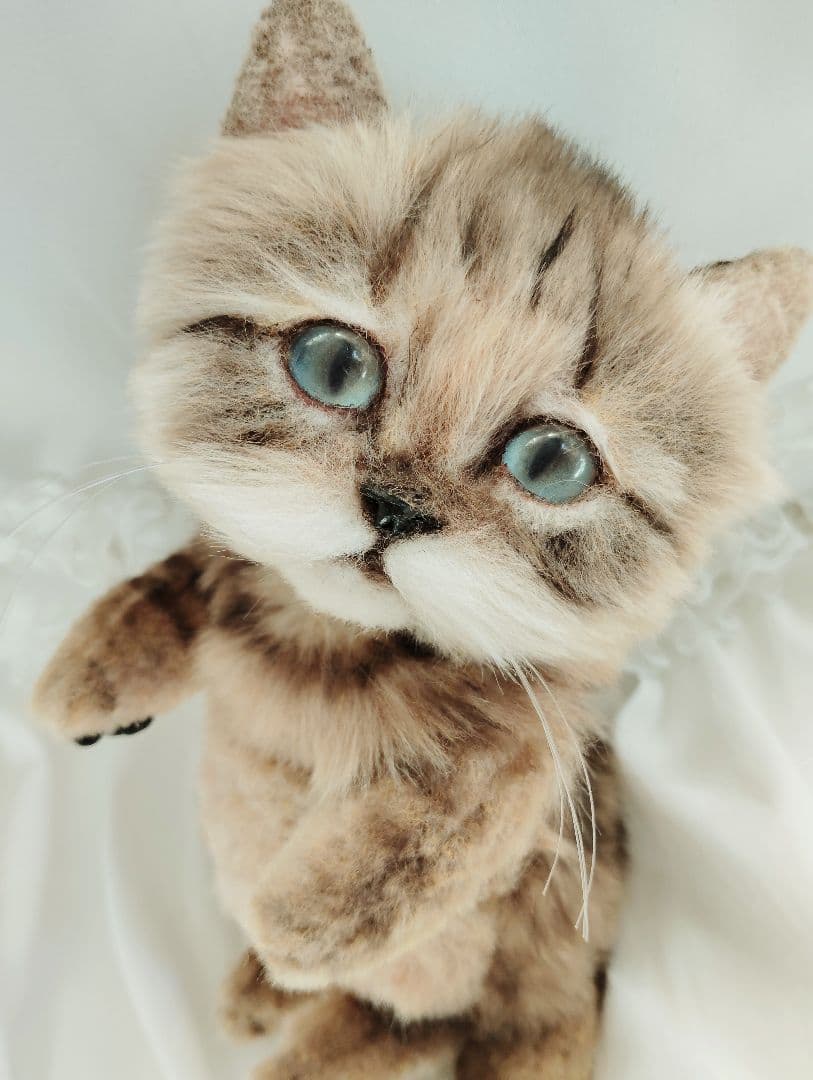 めるちゃん様❤オーダー❤お腹ぽっこり♡可愛い猫ちゃん♡アートドール♡ぬいぐるみ♡