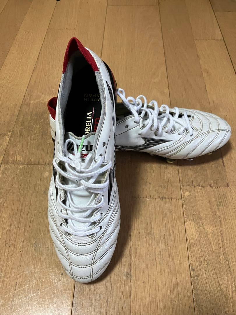 モレリアネオ3 mix