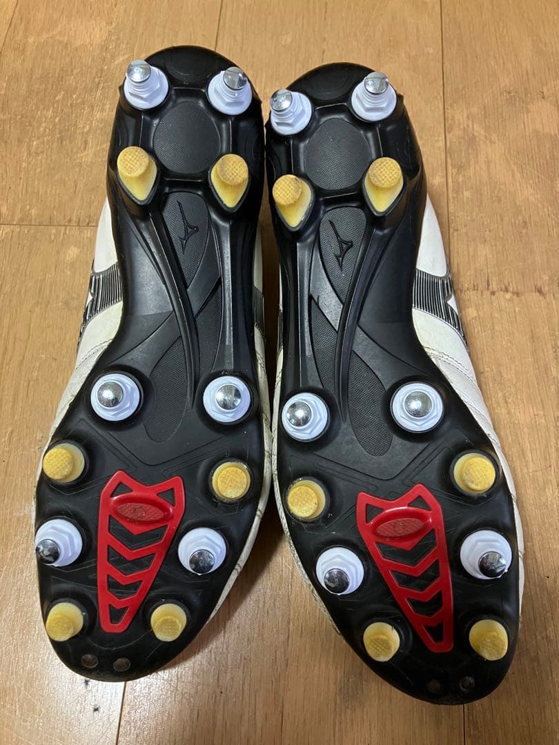 モレリアネオ3 mix