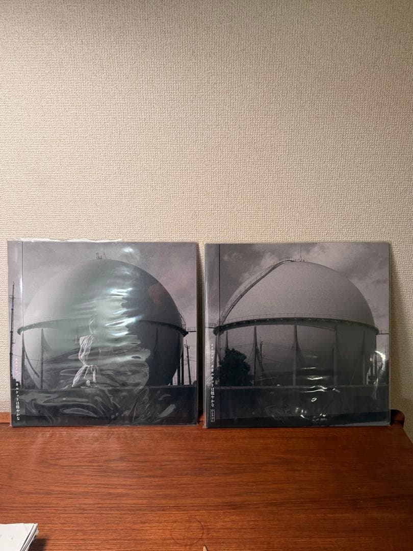 カネコアヤノ タオルケットは穏やかな ひとりでに レコード セット