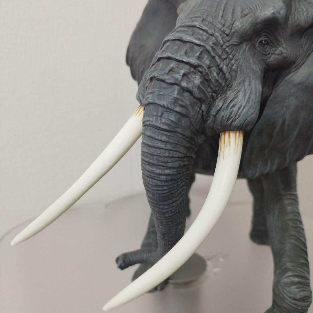 海洋堂　メガソフビアドバンスアフリカゾウ