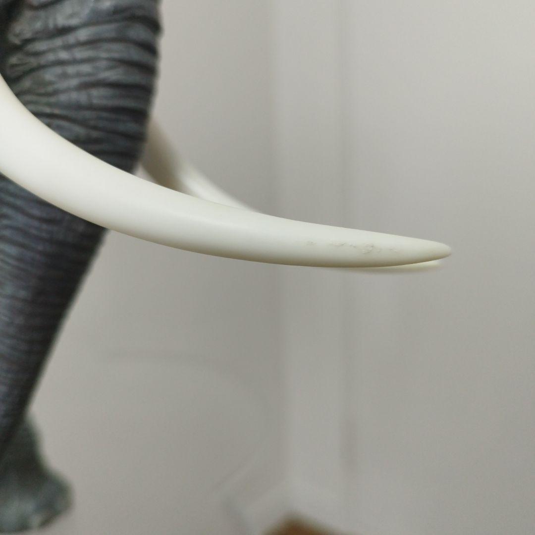 海洋堂　メガソフビアドバンスアフリカゾウ