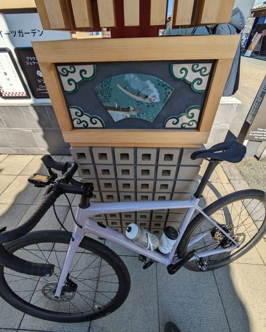 Aethos Comp × Roval Terra CL size 54