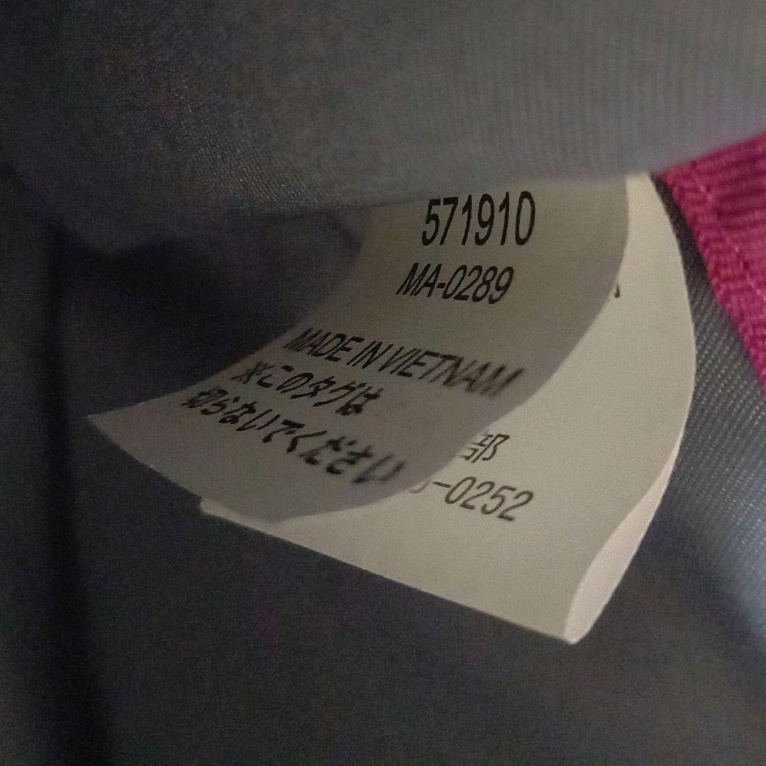 SWANY スワニー D-571 ルーミィ キャリーバッグ スパンコール グレー