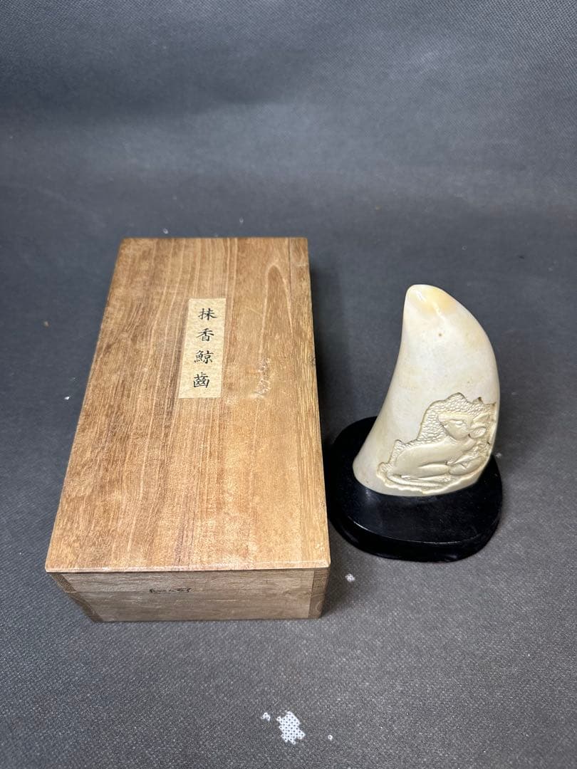 鯨歯　マッコウクジラ　天然素材　アンティーク　骨董　飾り物　古美術品　 置物