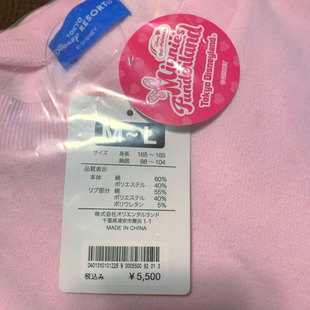 ディズニー　ミニーのファンダーランド　トレーナー　ミニパル　パルパルーザ