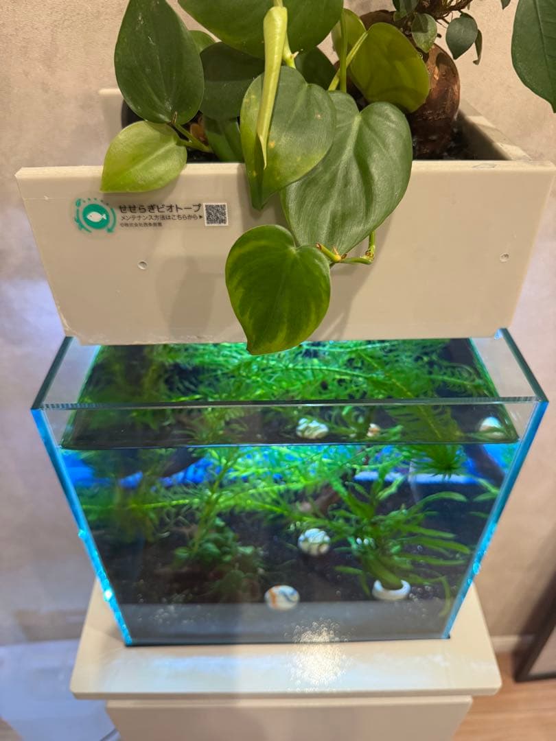 西条庭園　せせらぎビオトープ25cm型 照明付き