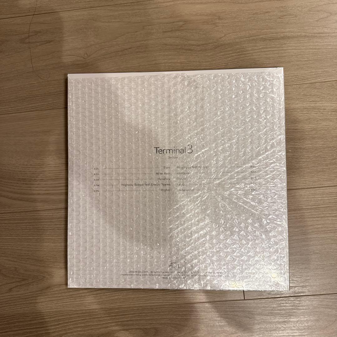 Terminal 3 レコード