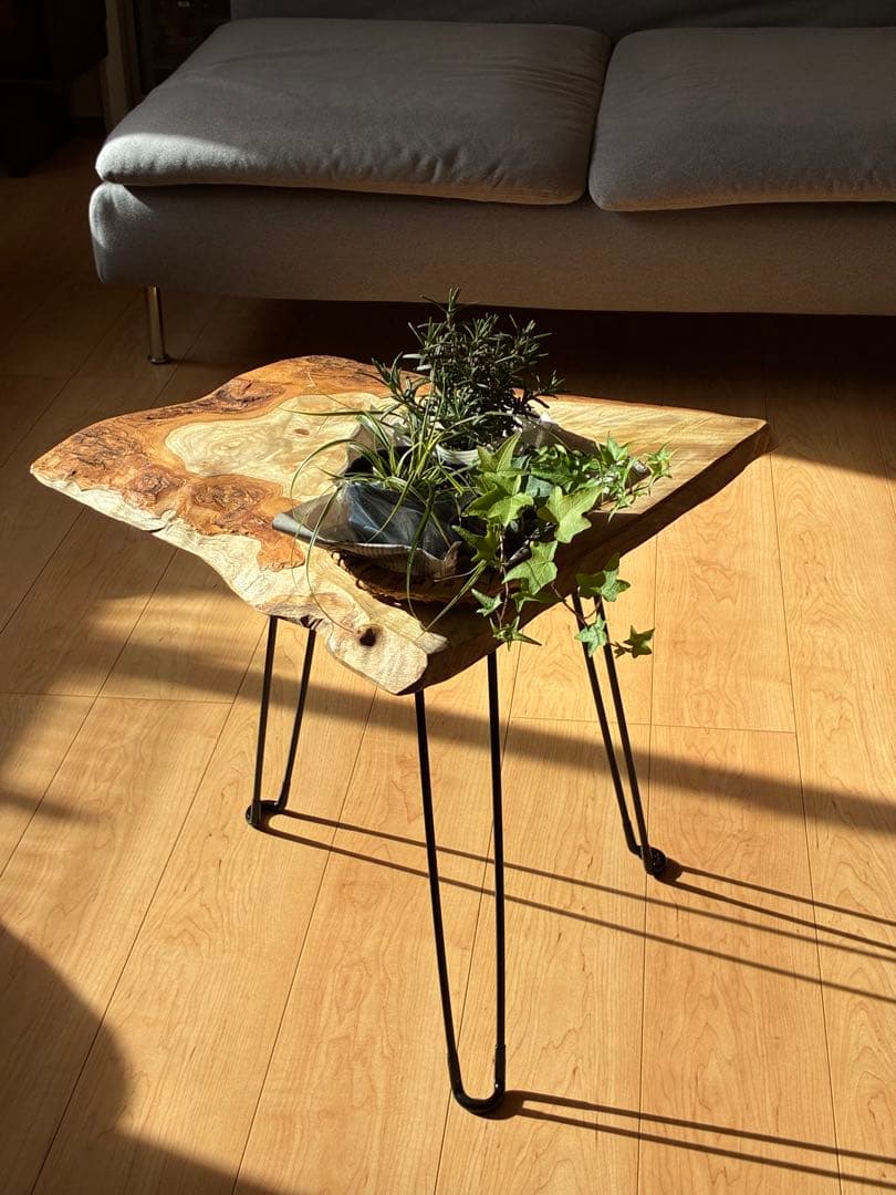 【現品限り】国産楠（くすのき） 無垢一枚板サイドテーブル｜天然木の表情を楽しむ