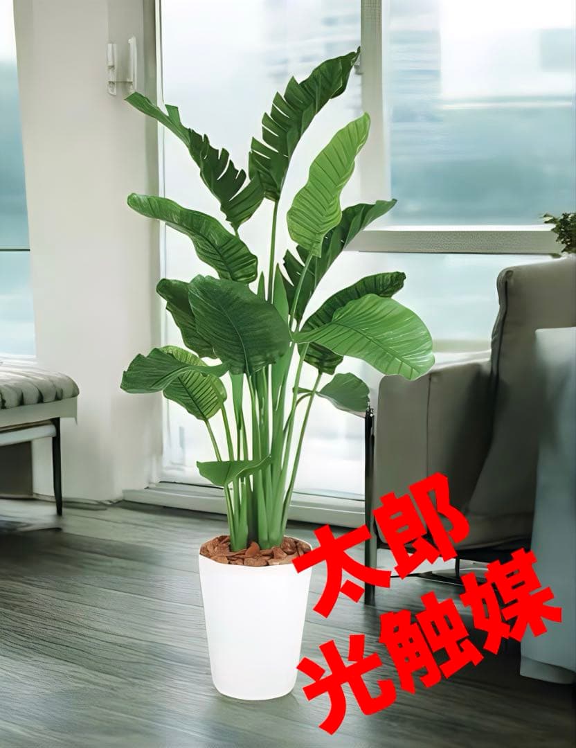 光触媒　人工観葉植物　フェイクグリーン　ストレリチアオーガスタMIX