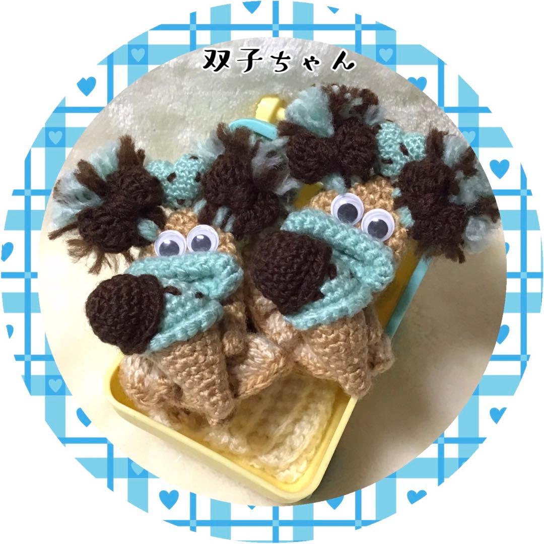 メル30498様　パクパクモンスターオーダー画像　ミントチョコアイスベビモン2個