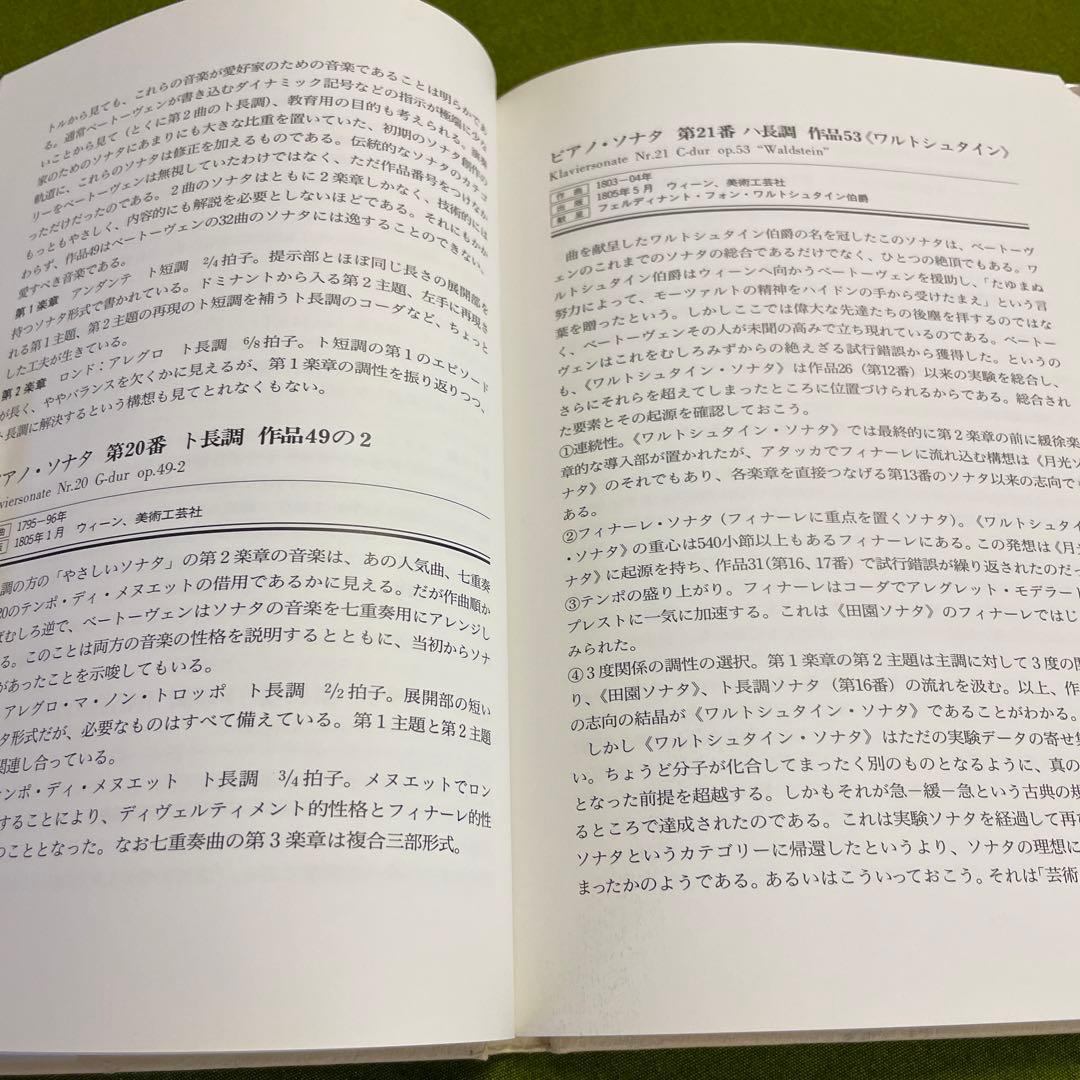 ベートーヴェンピアノ・ソナタ全集+ピアノ昨品集　CD17枚+作品解説本