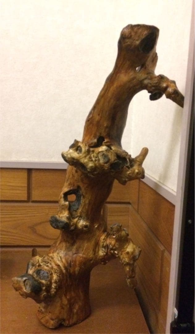 流木 インテリア