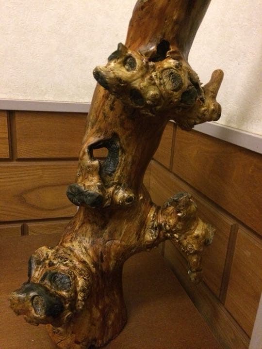 流木 インテリア