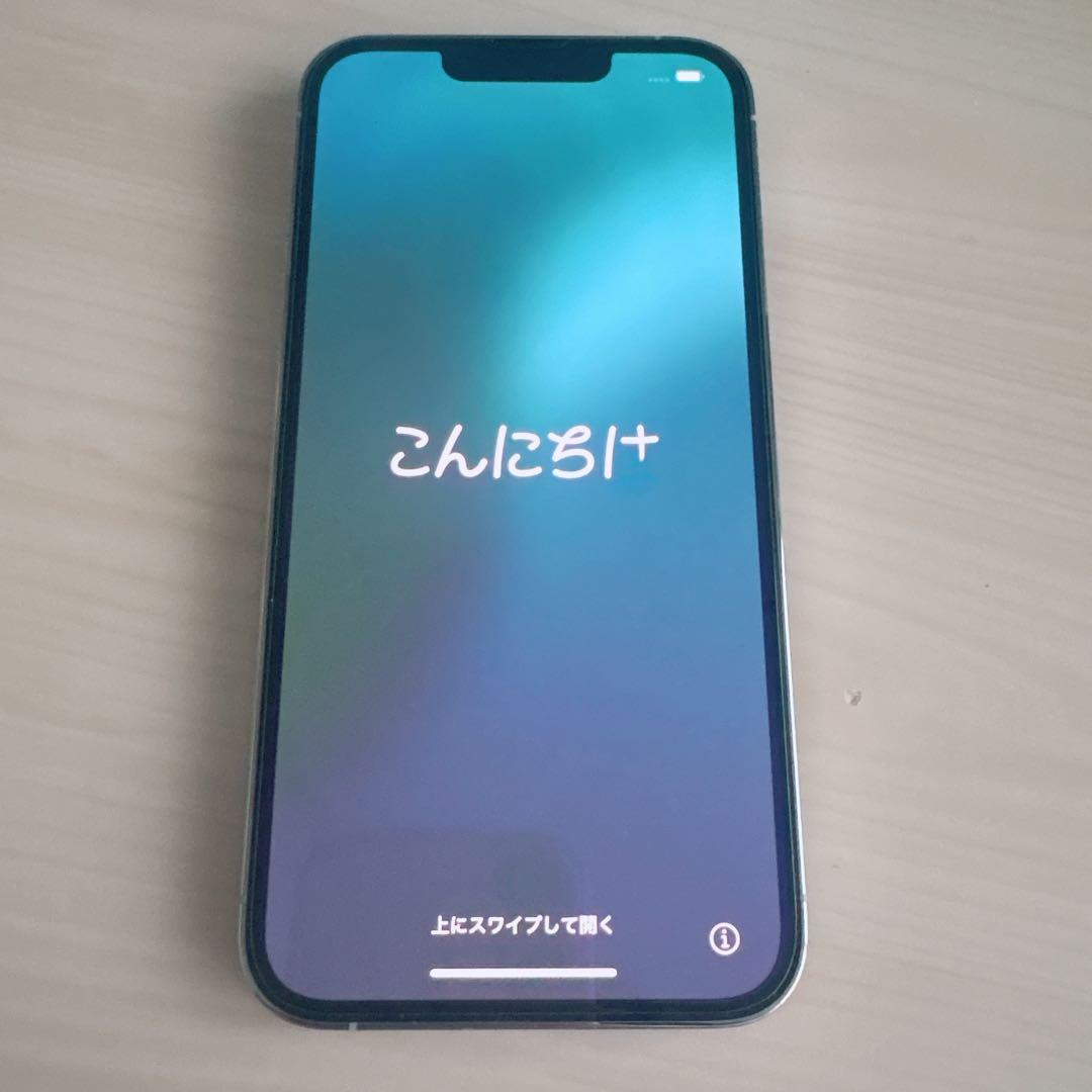 iPhone13 Pro 256GB (SIMフリー)