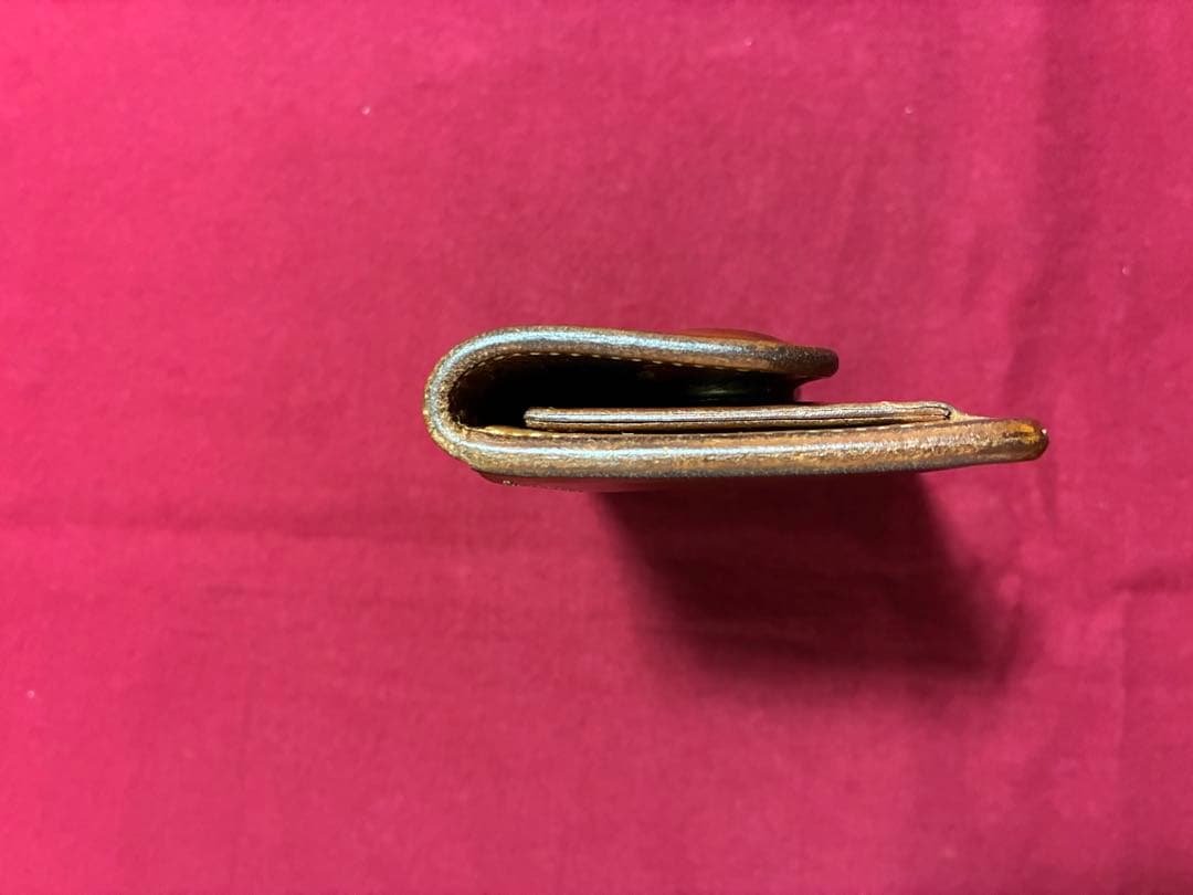 ワイルドスワンズ　タング ユニオンタグ付き