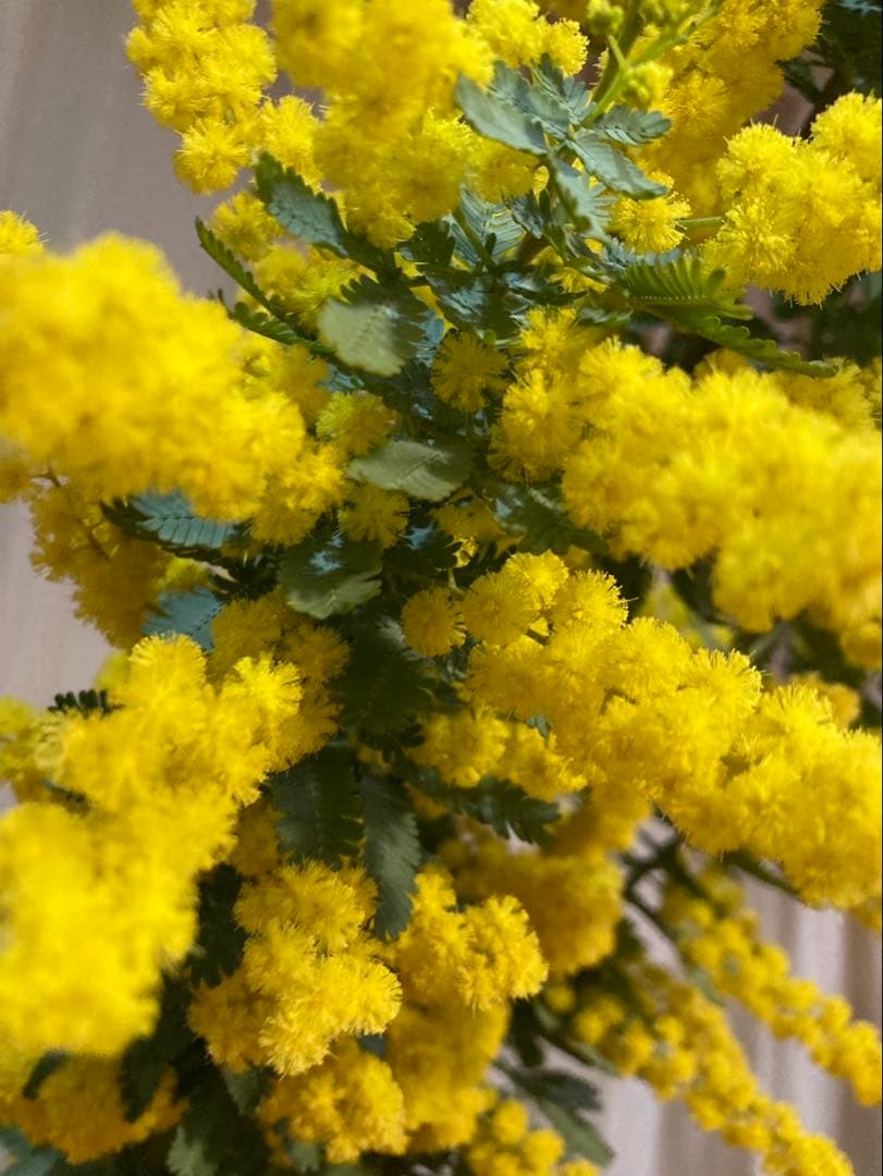 ★じゅんじゅん★様ご連絡用