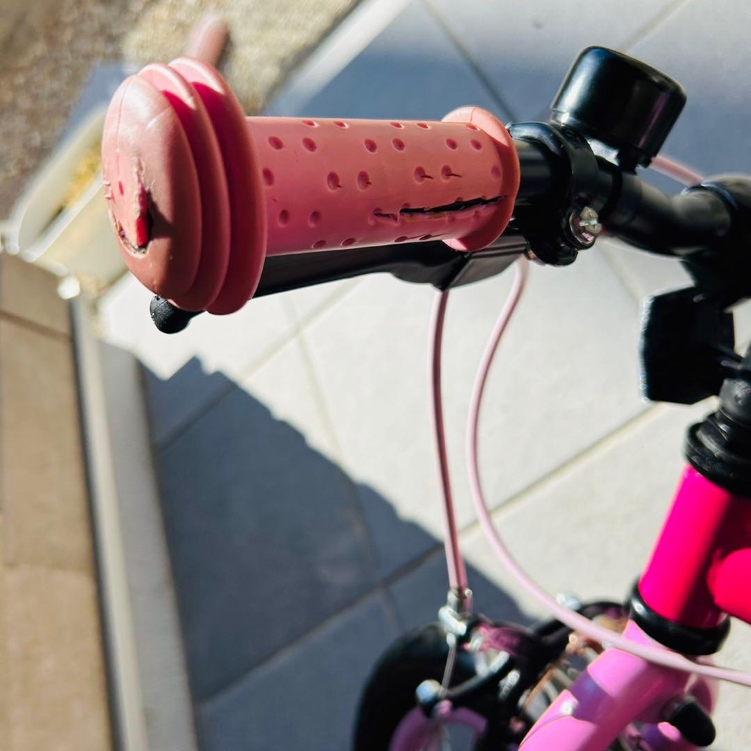 ストライダー　すくすくバイク　イグニオ