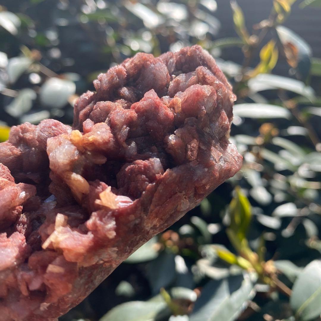 アポフィライト レッドバージョン①