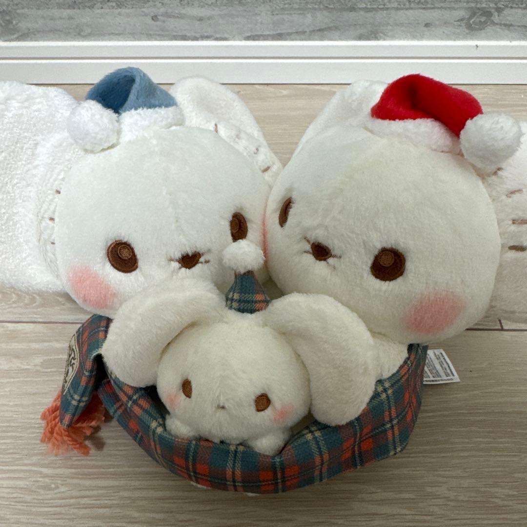 イッカネズミ クリスマス Heartwarming Christmas ポケモン