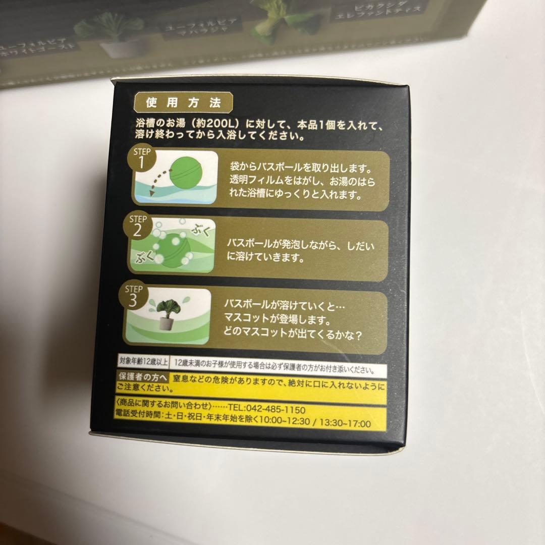 ビザールプランツ　バスボール　24個1箱BOX付き